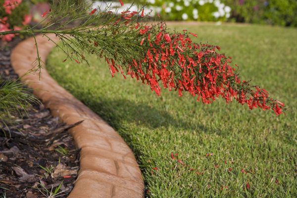 Brick Edging in Herndon