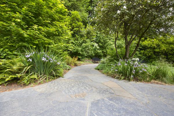 Stone Hardscape Service in Herndon